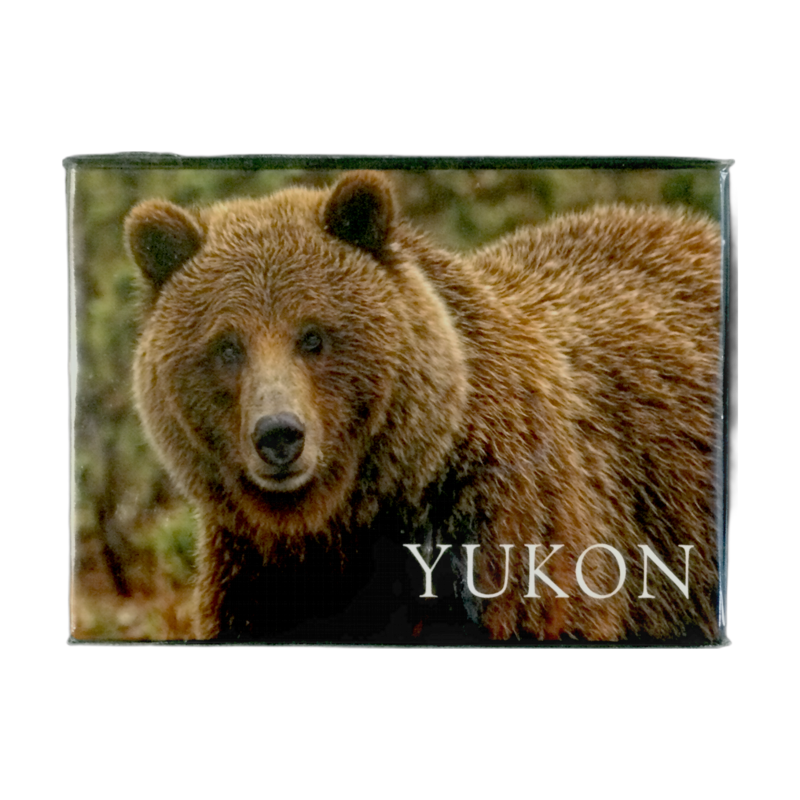 Scenery Grizzly Bear Magnet
