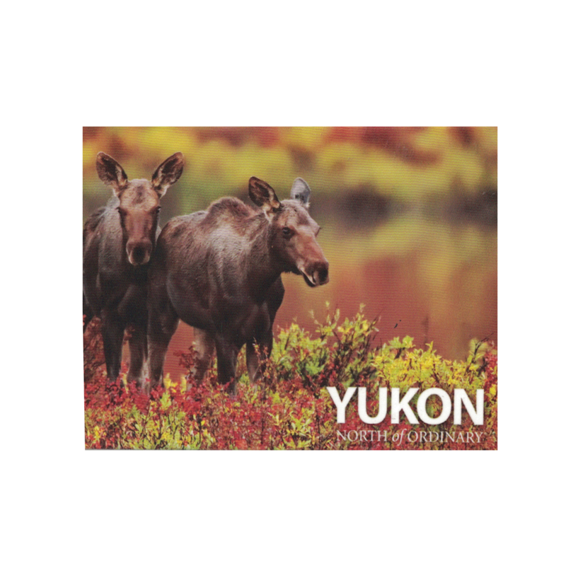 Scenery Two Moose Magnet