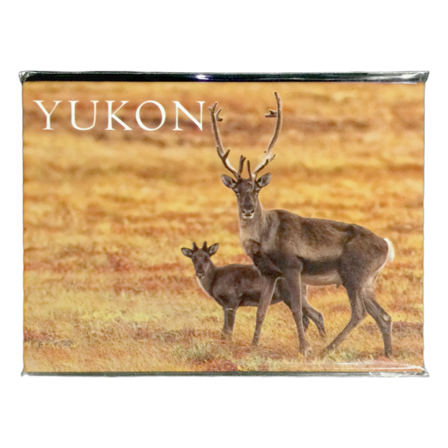 Scenery Two Caribou Magnet