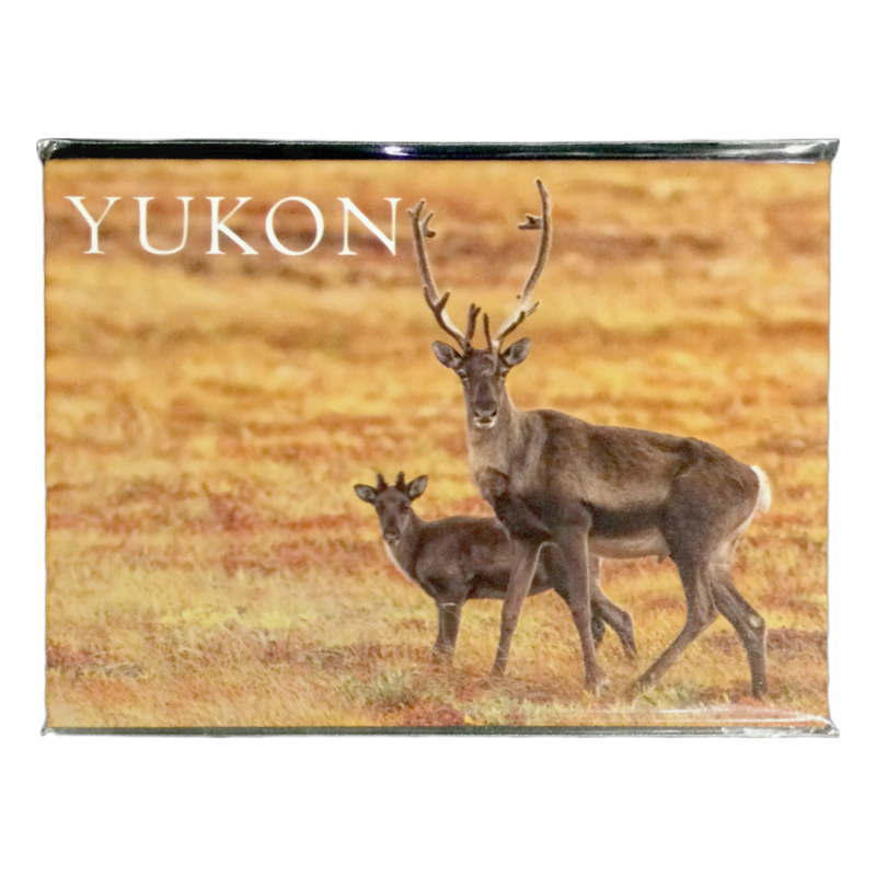 Scenery Two Caribou Magnet