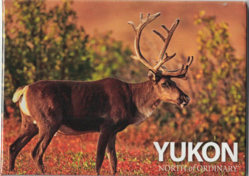 Scenery One Caribou Magnet