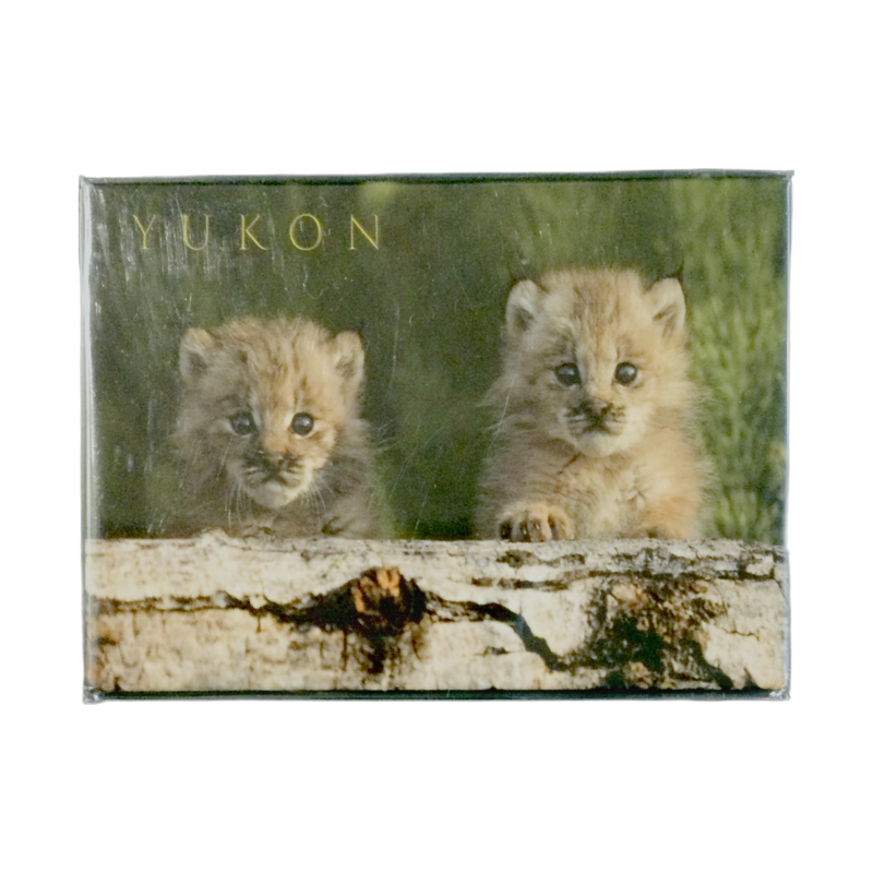 Scenery Baby Lynx Magnet