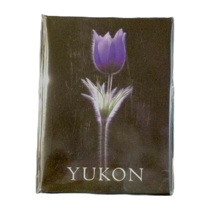 Scenery Crocus Magnet