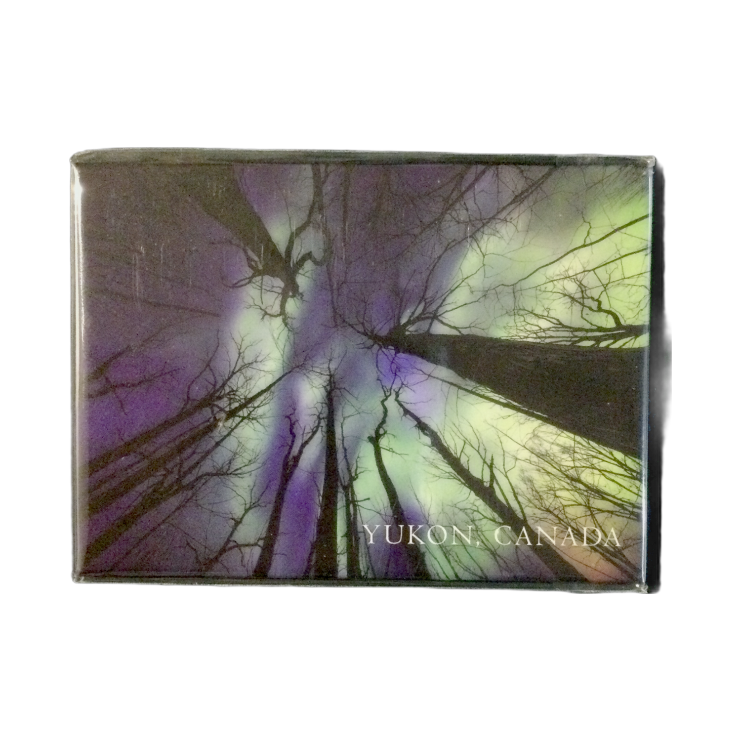 Scenery Aurora Trees Magnet
