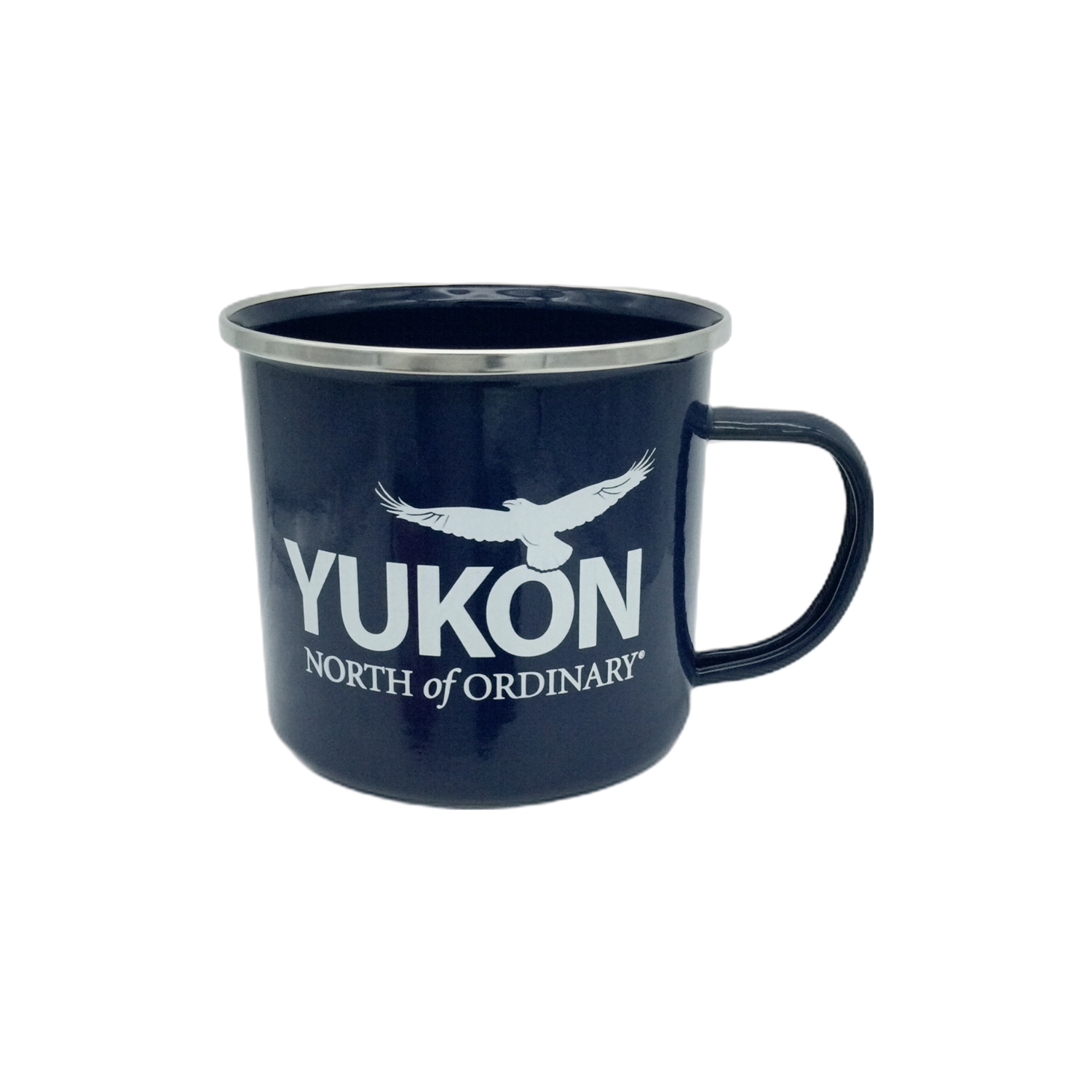 Camping Steel Coffee Mug - Cobalt Blue