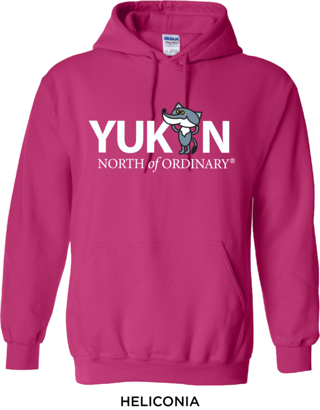Youth Cartoon Wolf Hoodie - Pink*