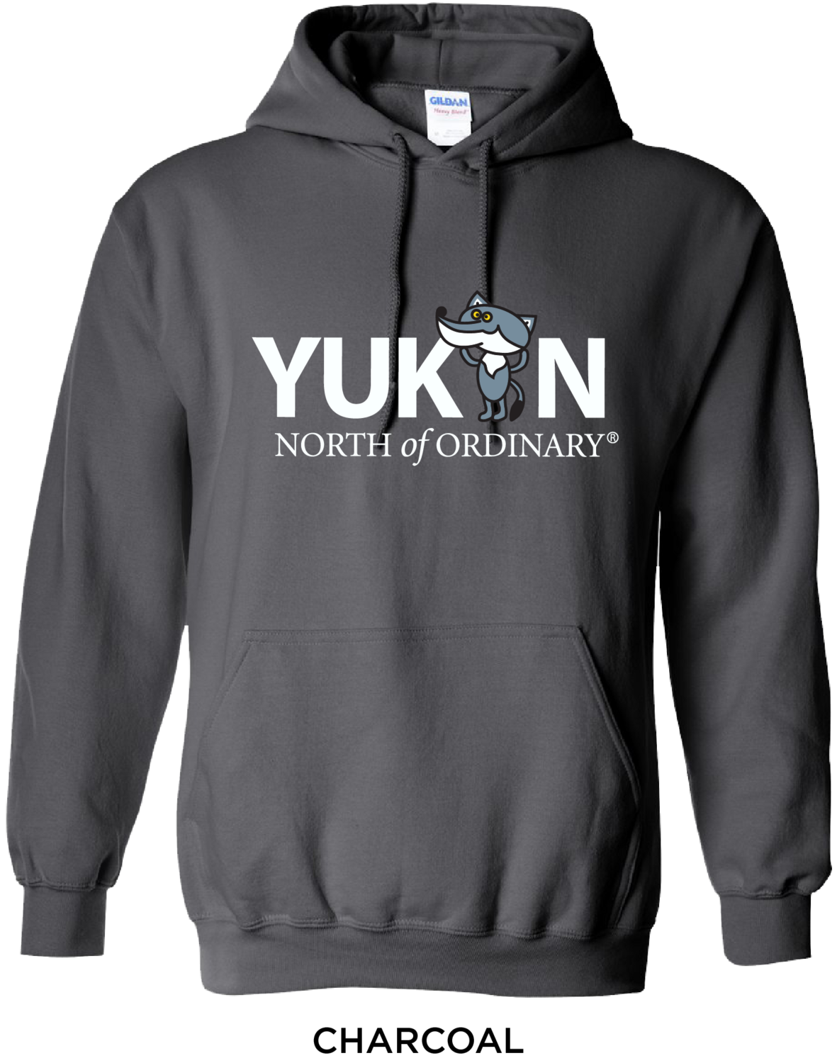 Youth Cartoon Wolf Hoodie - Grey*
