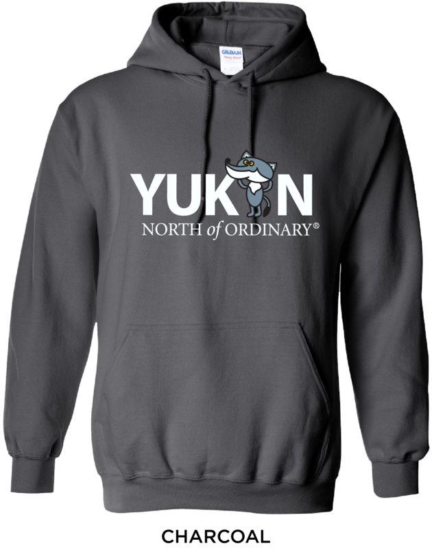 Youth Cartoon Wolf Hoodie - Grey*