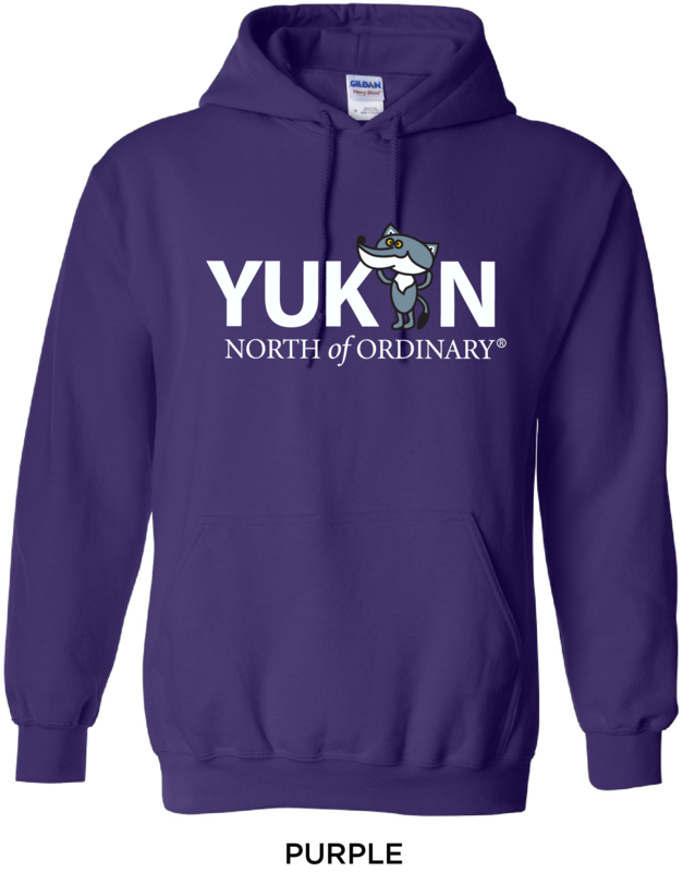 Youth Cartoon Wolf Hoodie - Purple*