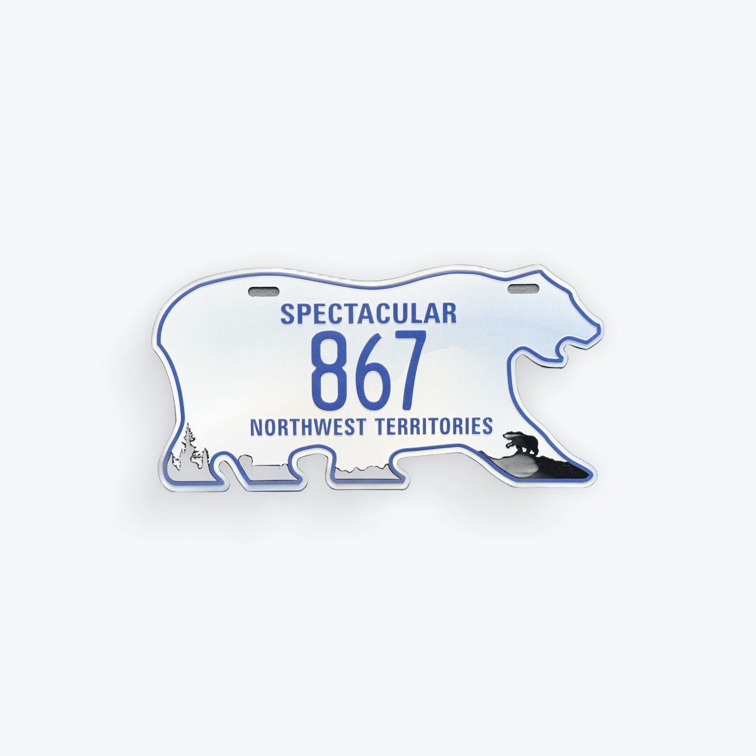 License Plate Large Reproduction - NWT Spectacular