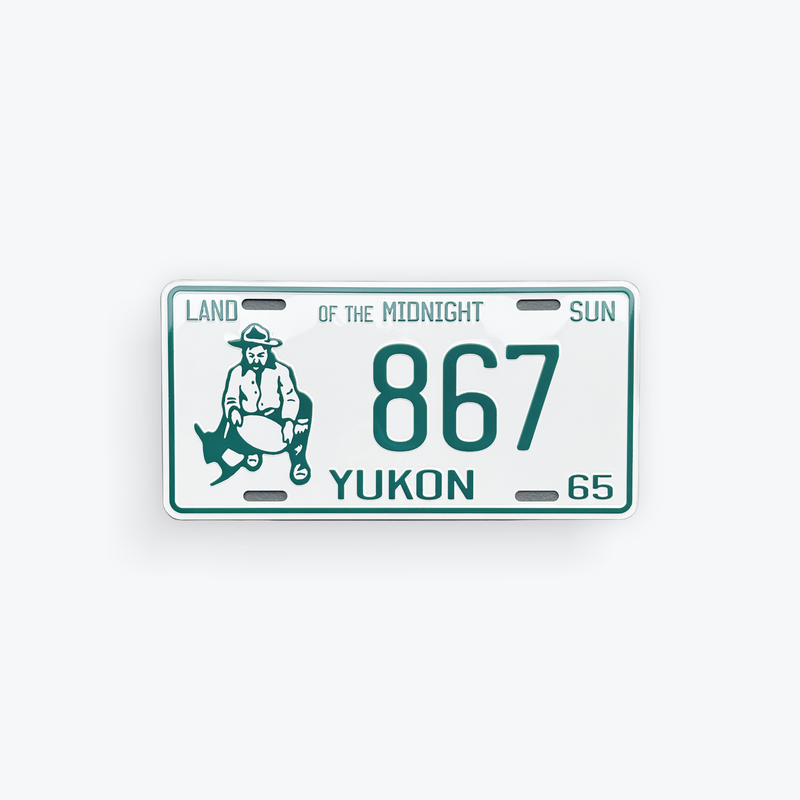 License Plate Large Reproduction 1965