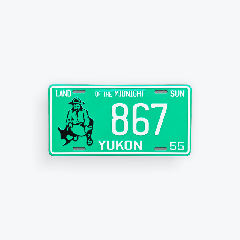 License Plate Large Reproduction 1955