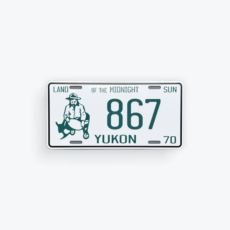 License Plate Large Reproduction 1970