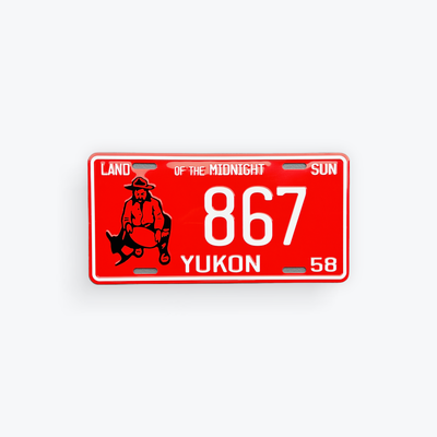 Large Reproduction License Plates