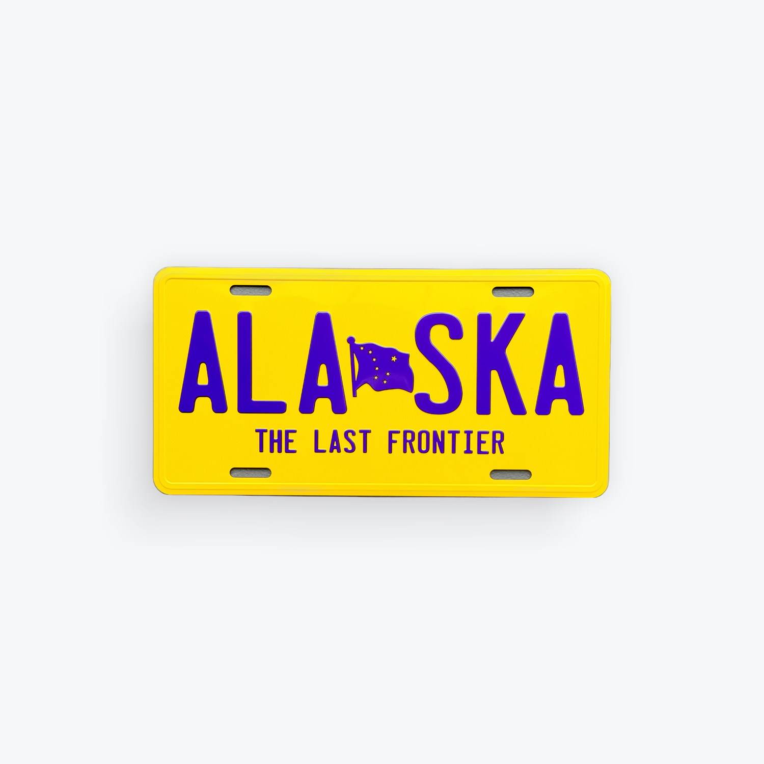 Mini License Alaska
