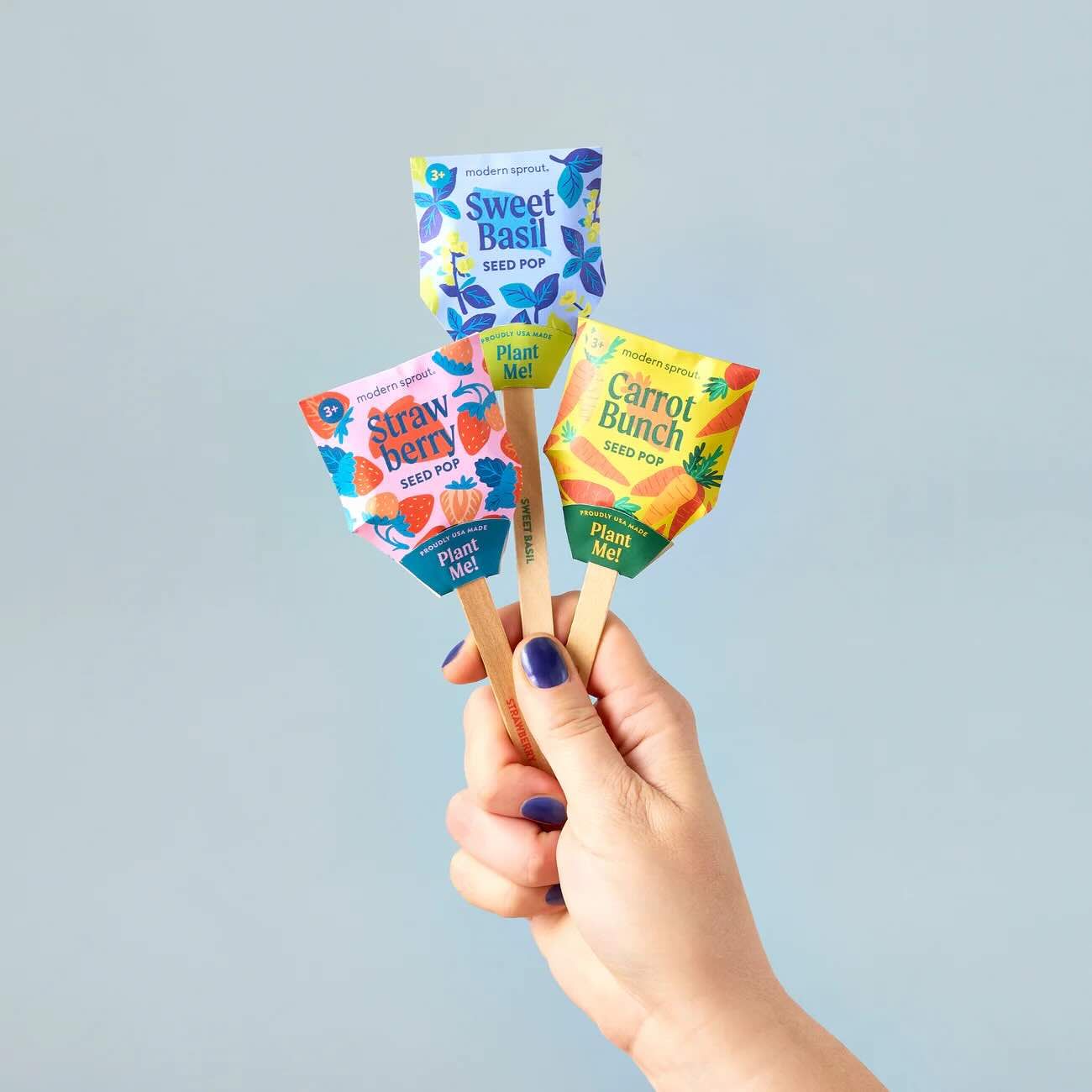 Garden Seed Pop - Modern Sprouts