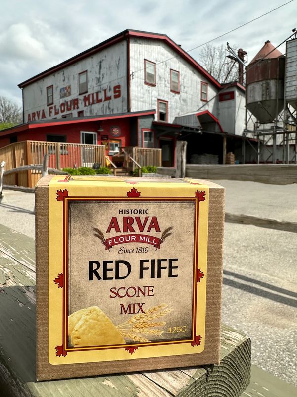 Red Fife Flour - Arva Flour Mill
