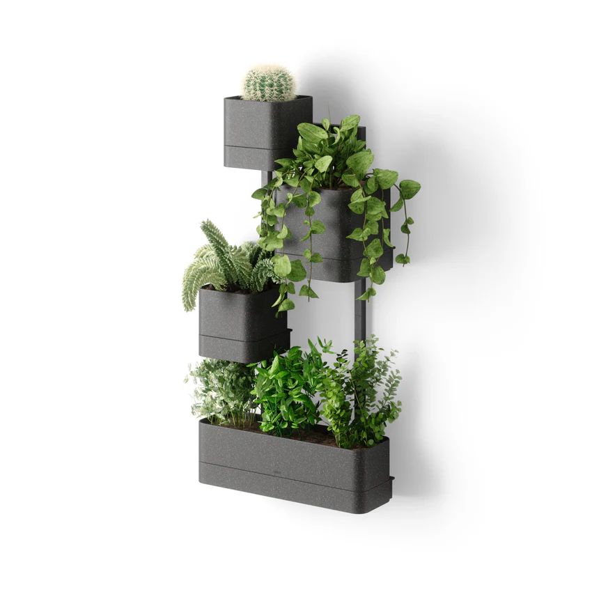 CUBIKO WALL PLANTER- Umbra