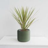 Pine Planter - Olive Green 6" - Conifer