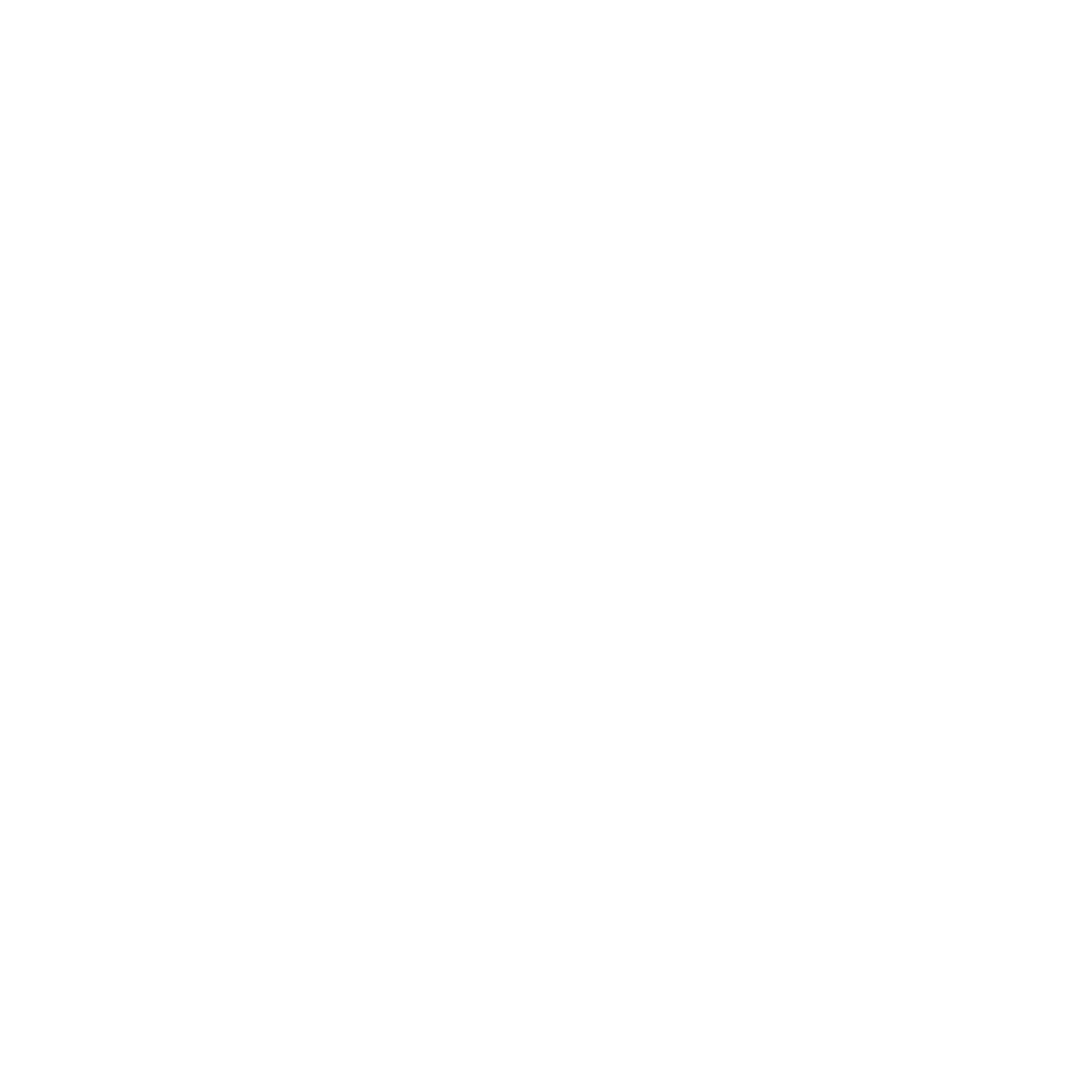 Panini - Chicken and Swiss