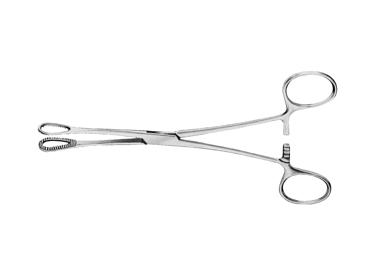 Pinza Porta Esponja