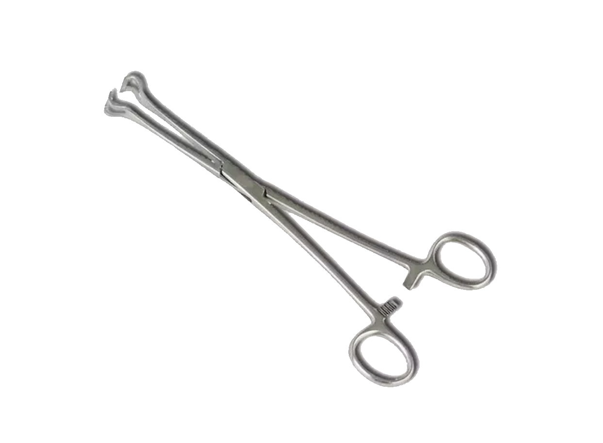 Pinza Babcock