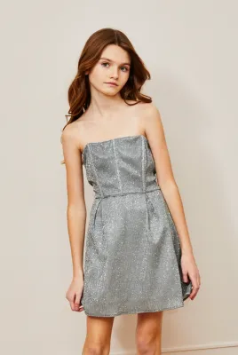 Roxy Silver Corset Dress
