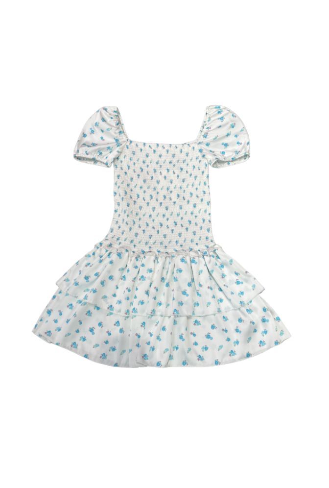 Lexi White w/ Blue Ditsy Satin Smk Dress