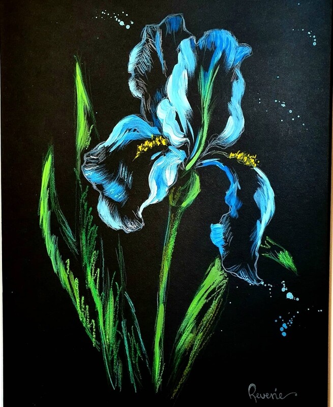 Iris
