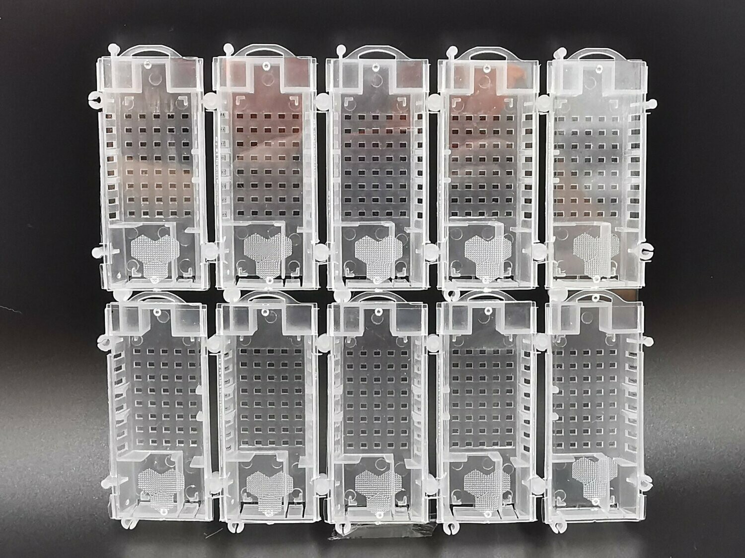 Königinnenversandkäfig 10er Set transparent, Kunststoff