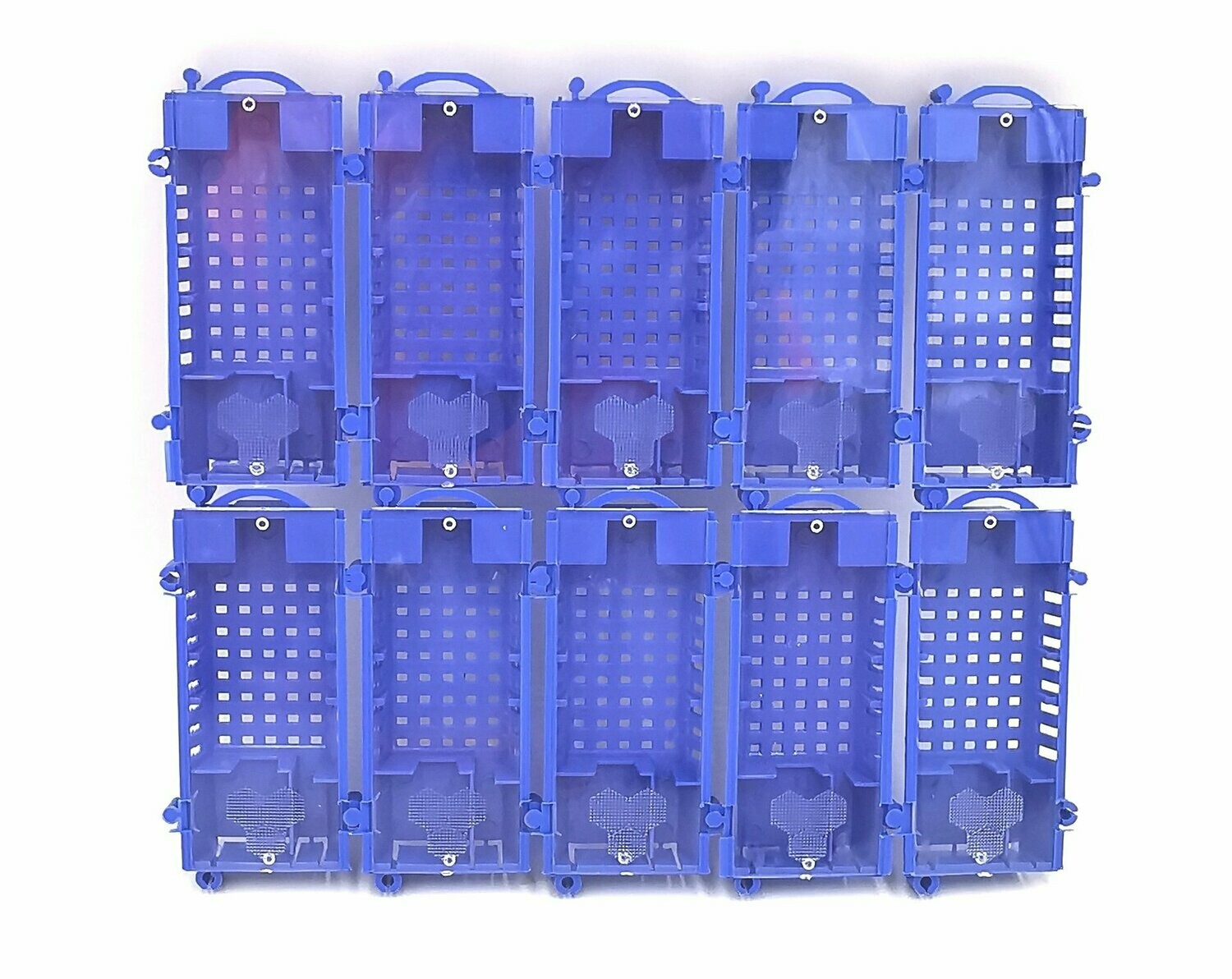 Königinnenversandkäfig 10er Set blau, Kunststoff