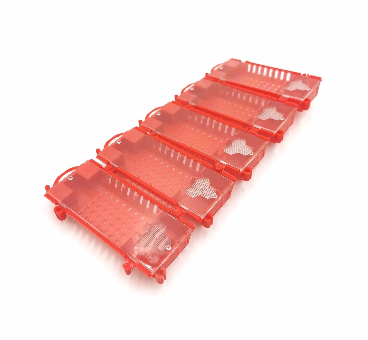 Königinnenversandkäfig 10er Set rot, Kunststoff