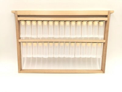 Zuchrahmen Dadant Blatt 30 Einheiten mit Komplettset Nicot Zuchrahmen Dadant Blatt 30 Einheiten mit Komplettset Nicot