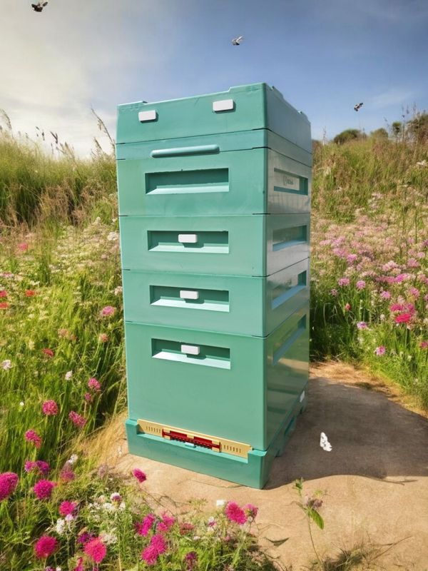 10er Dadant Blatt PUR Polyurethan Bienenbeute(mit Brutraumzarge und 2 Honigraumzargen) Bee-Shopping