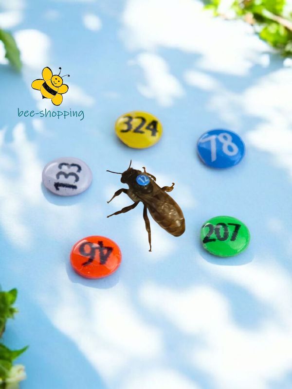 Opalithplättchen Kunststoff 2,5mm uv-aktiv