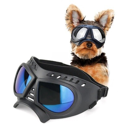 Waterproof Summer Dog Glasses