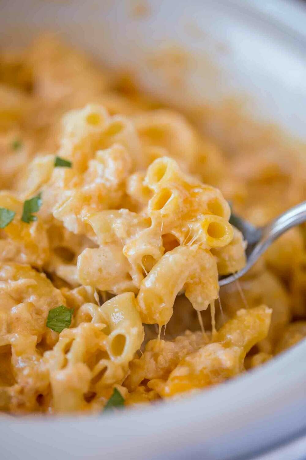 Creamy Mac and Cheese - Kids/Adult Meal