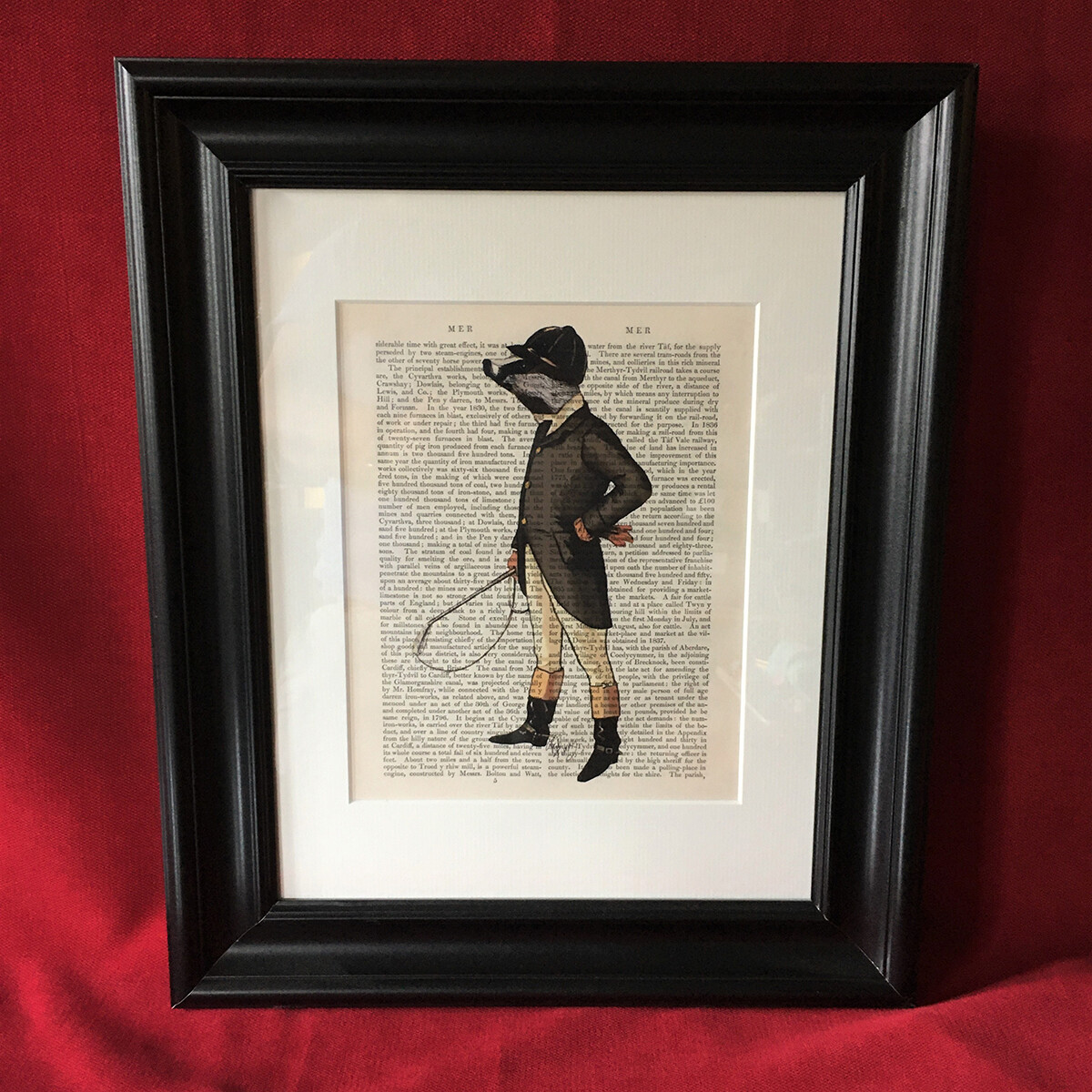 British Badger Framed Print British Badger Framed Print