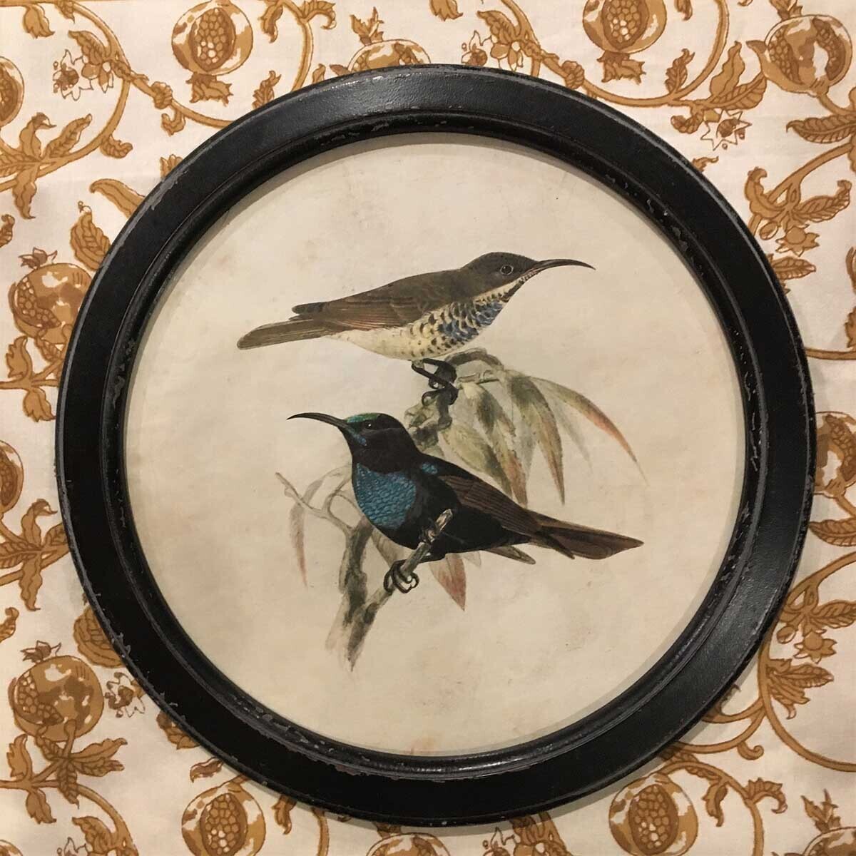 Round Framed Vintage Style Bird Print - Looking East and West