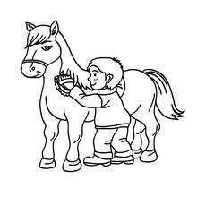 Higiene para tu caballo