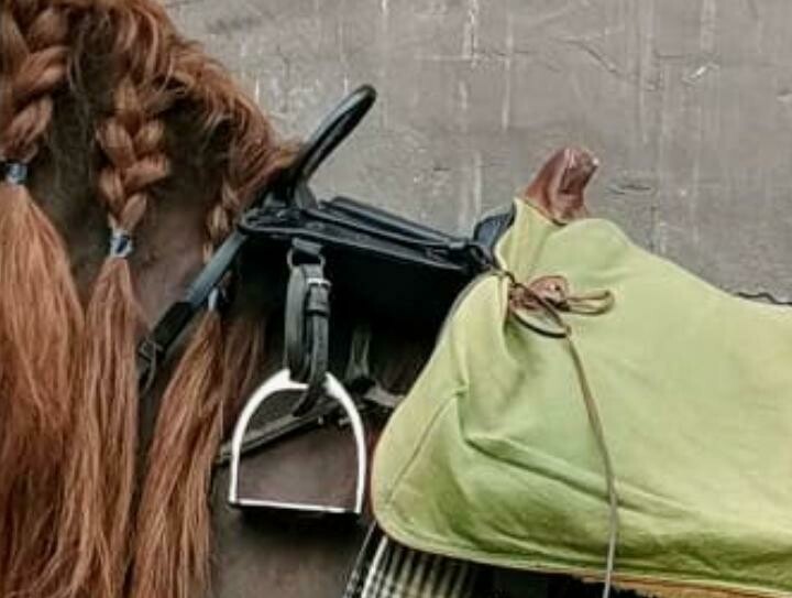 Asiento adaptador