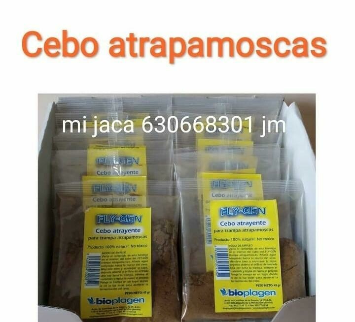 Cebo para moscas