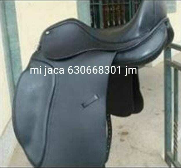 Silla de doma
