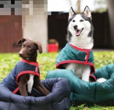 Manta impermeable para perros