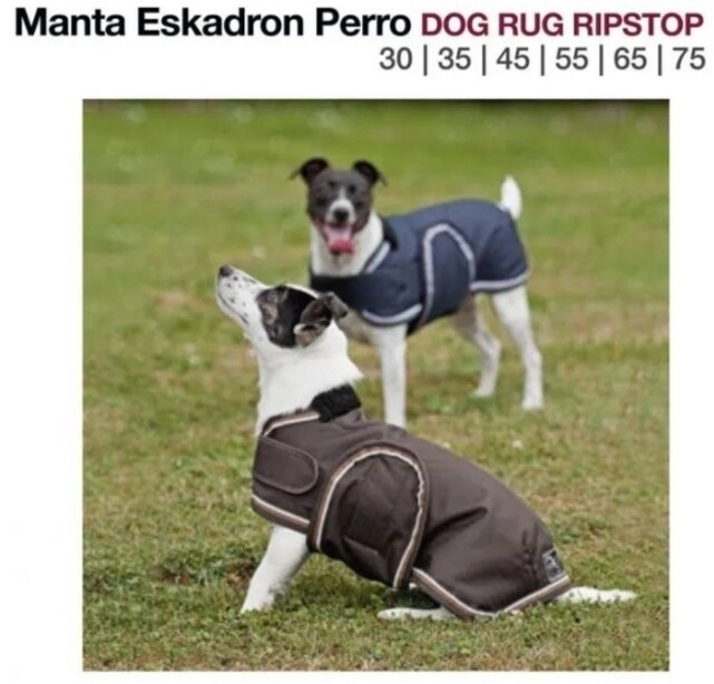 Manta perro