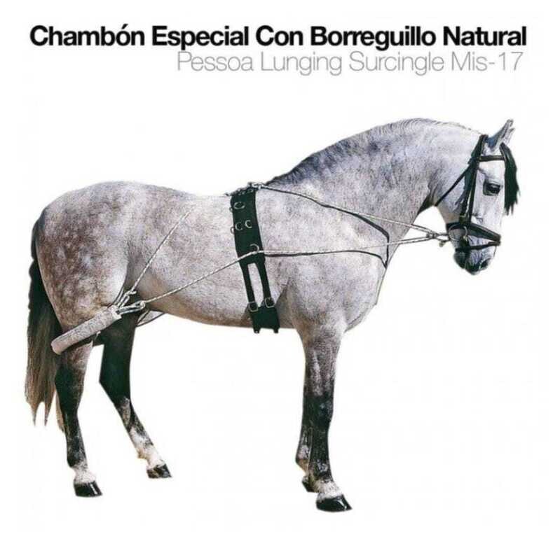 Chambón especial