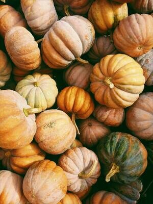 Pumpkins & Gourds