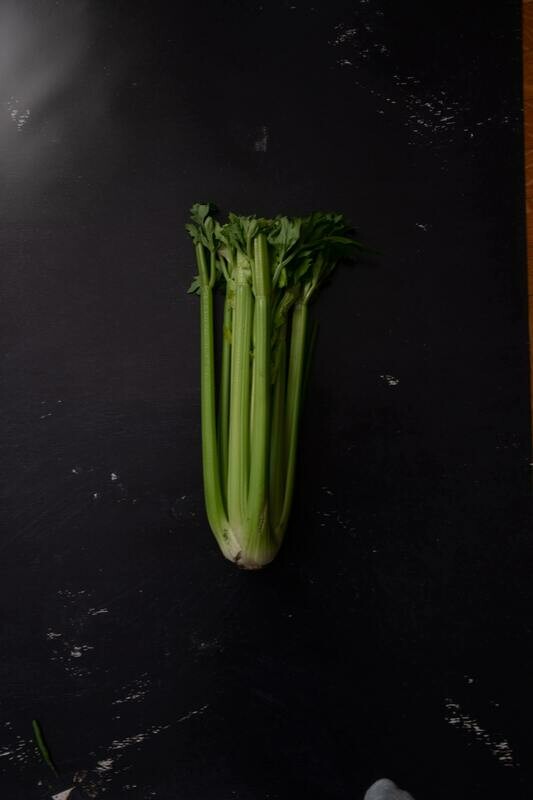 Celery