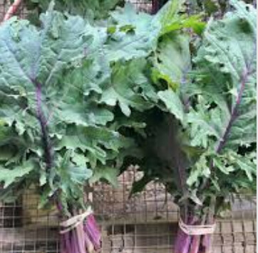 Loving Roots Kale Blend