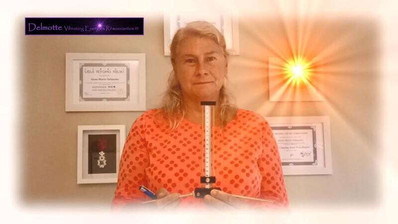 Lecher Antenne - Basisprincipes en Makkelijke Oefeningen online opleiding met live individuele coaching